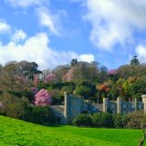 Caerhays Castle & Spring Gardens - Beautiful Heirloom Home