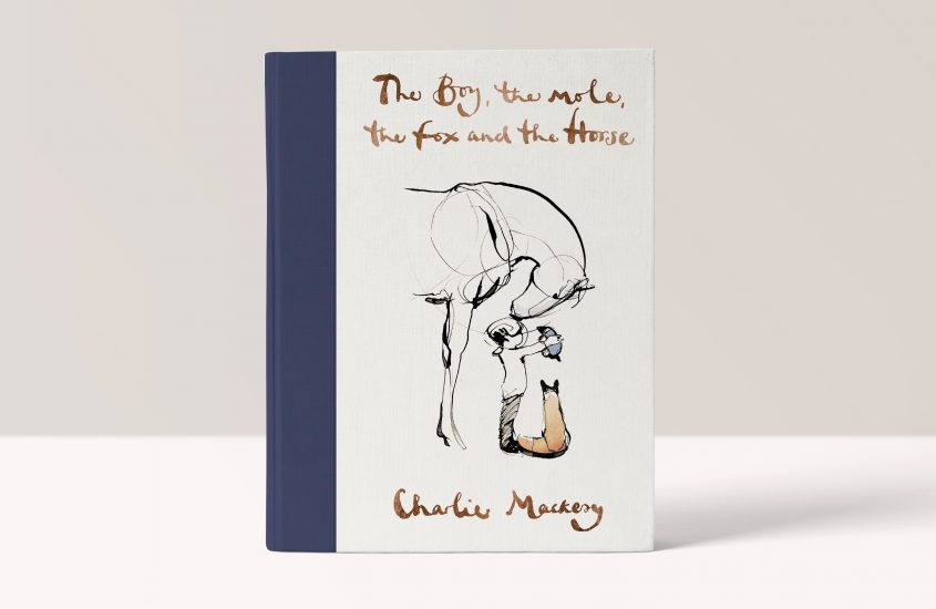 The Boy, The Mole, The Fox and the Horse – Charlie Mackesy