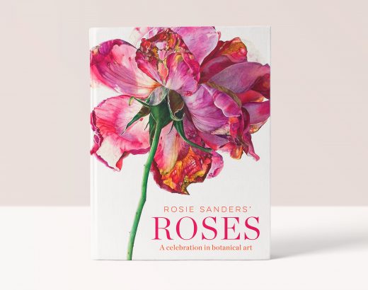 Rosie Sanders' - Roses - Beautiful Heirloom Home