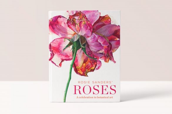 Rosie Sanders' - Roses - Beautiful Heirloom Home