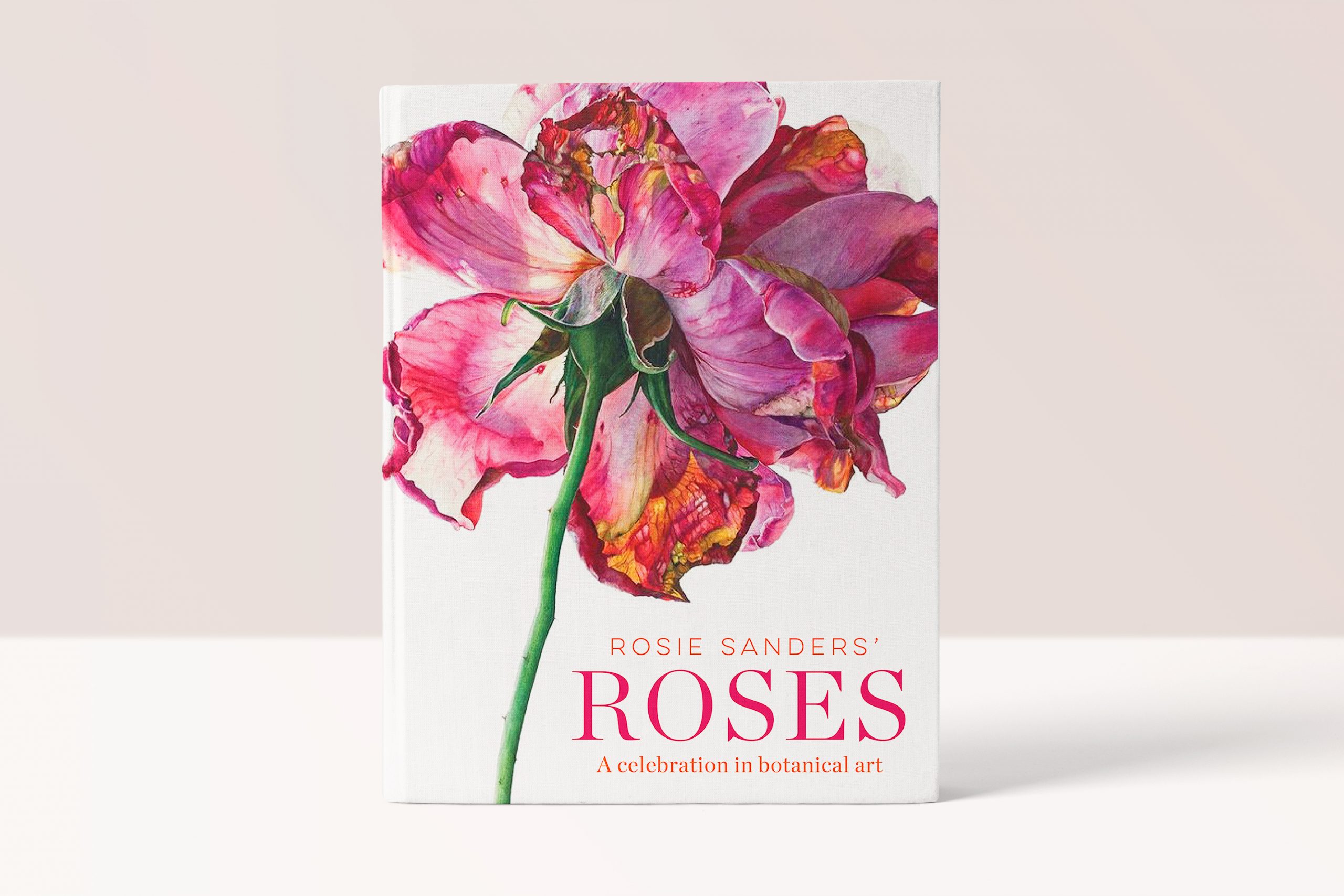 Rosie Sanders' - Roses - Beautiful Heirloom Home