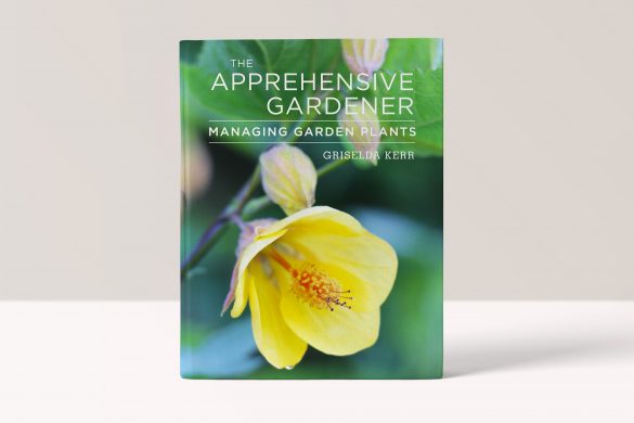 The Apprehensive Gardener - Griselda Kerr