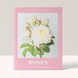 Roses: Beautiful varieties for home and garden - Jane Eastoe with photography by Georgianna Lane