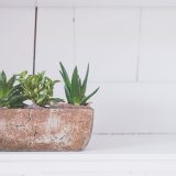 Styling your Home with House Plants - Beautiful Heirloom Home