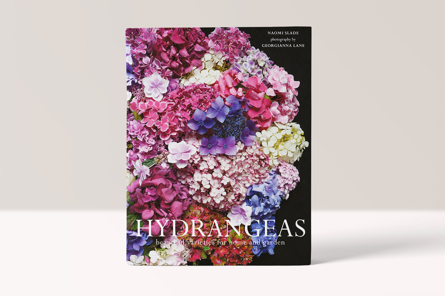 HYDRANGEAS – Naomi Slade, Georgianna Lane
