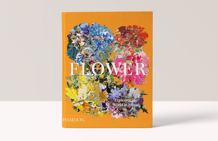 Flower: Exploring the World in Bloom – Phaidon Editors
